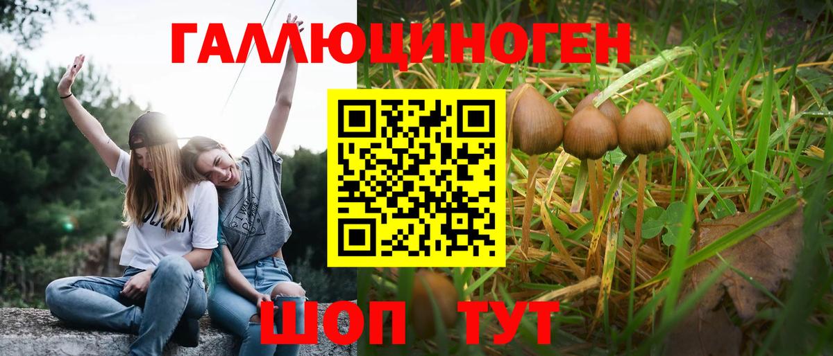 Галлюциногенные грибы Magic Shrooms  Вход с VPN  Киржач 