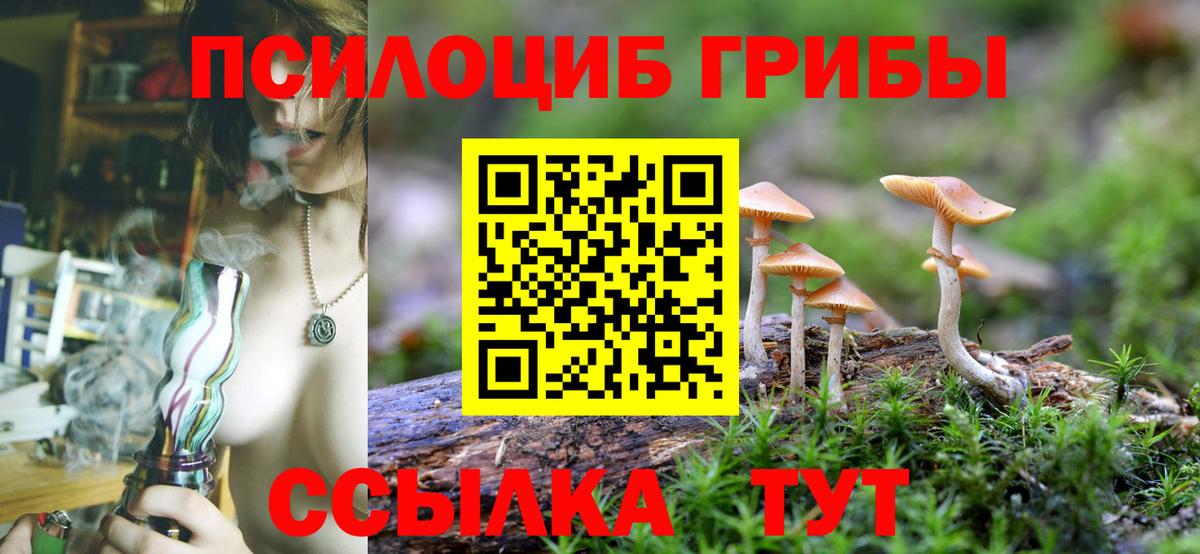Галлюциногенные грибы MAGIC MUSHROOMS Киржач